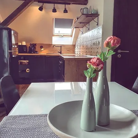 Apartmán Silvestr Dolni Rychnov Exterior foto