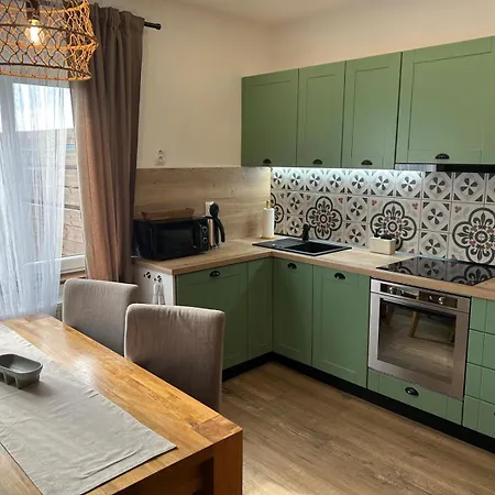 Apartmán Silvestr Dolni Rychnov Exterior foto