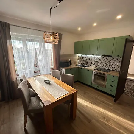 Apartmán Silvestr Dolni Rychnov Exterior foto