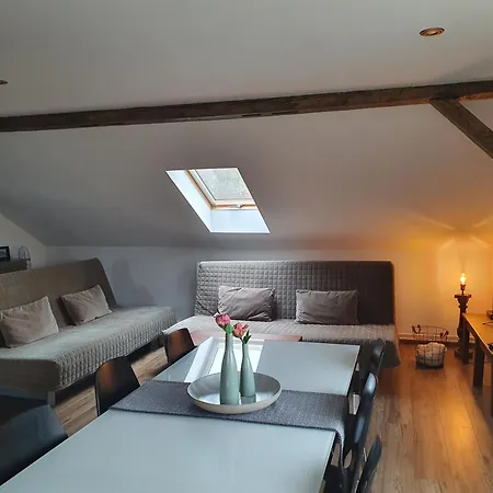 Apartmán Silvestr Dolni Rychnov Exterior foto