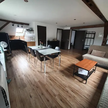 Apartmán Silvestr Dolni Rychnov Exterior foto