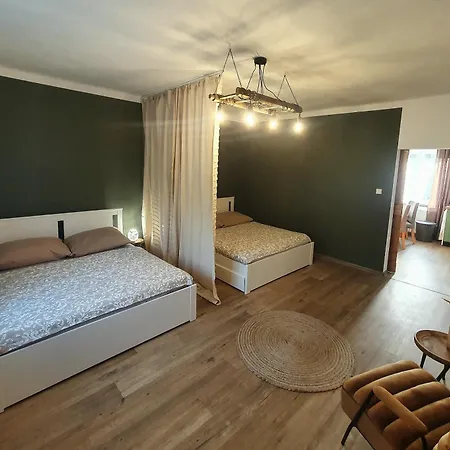 Apartmán Silvestr Dolni Rychnov Habitación foto